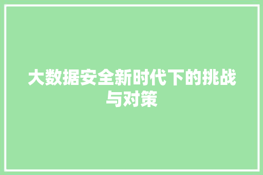 大数据安全新时代下的挑战与对策