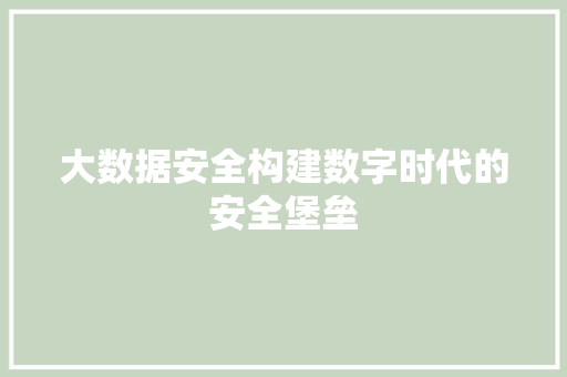 大数据安全构建数字时代的安全堡垒