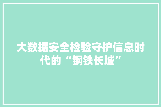 大数据安全检验守护信息时代的“钢铁长城”