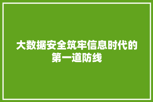 大数据安全筑牢信息时代的第一道防线