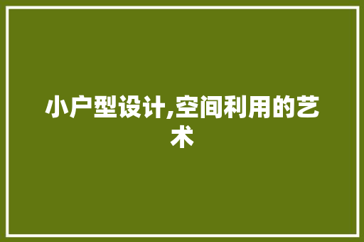 小户型设计,空间利用的艺术