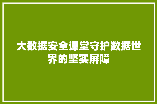 大数据安全课堂守护数据世界的坚实屏障