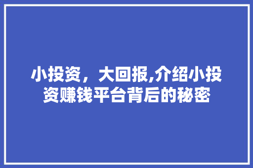 小投资，大回报,介绍小投资赚钱平台背后的秘密