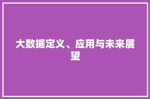 大数据定义、应用与未来展望