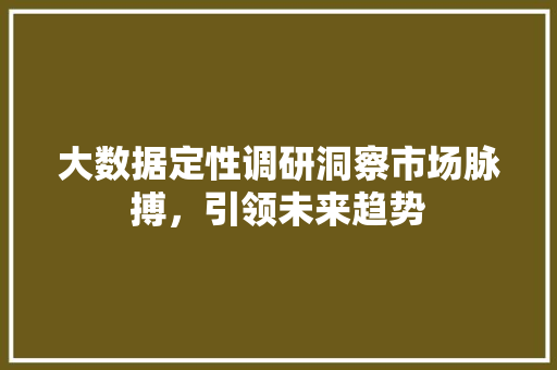 大数据定性调研洞察市场脉搏，引领未来趋势