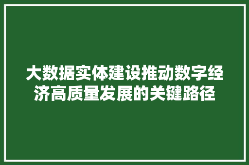 大数据实体建设推动数字经济高质量发展的关键路径