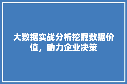 大数据实战分析挖掘数据价值，助力企业决策
