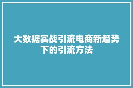 大数据实战引流电商新趋势下的引流方法