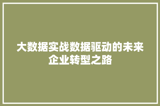 大数据实战数据驱动的未来企业转型之路
