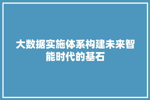 大数据实施体系构建未来智能时代的基石