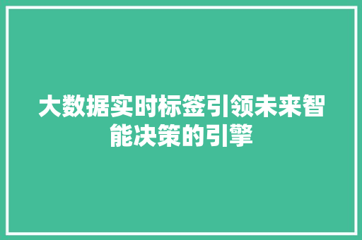 大数据实时标签引领未来智能决策的引擎