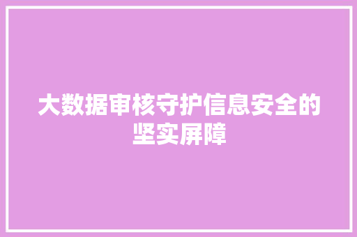 大数据审核守护信息安全的坚实屏障