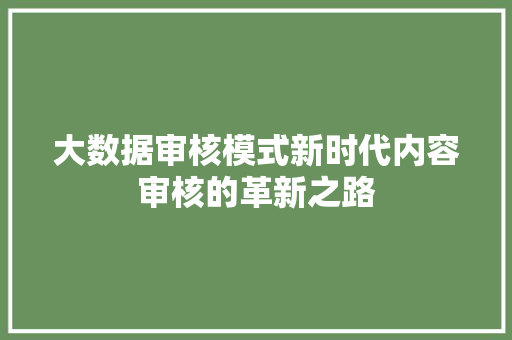 大数据审核模式新时代内容审核的革新之路