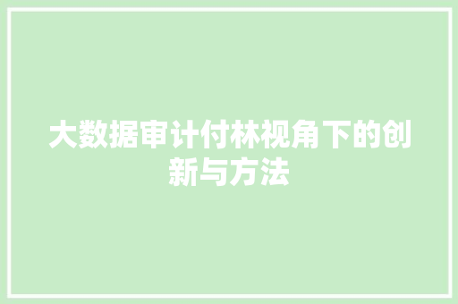 大数据审计付林视角下的创新与方法 Web前端