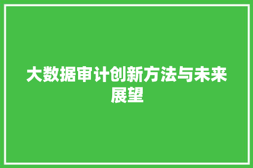 大数据审计创新方法与未来展望
