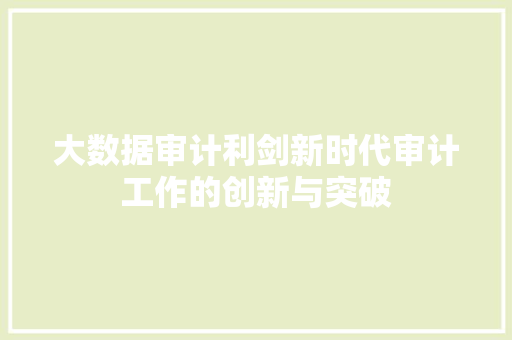 大数据审计利剑新时代审计工作的创新与突破