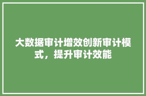 大数据审计增效创新审计模式，提升审计效能