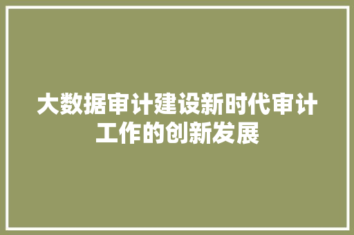 大数据审计建设新时代审计工作的创新发展