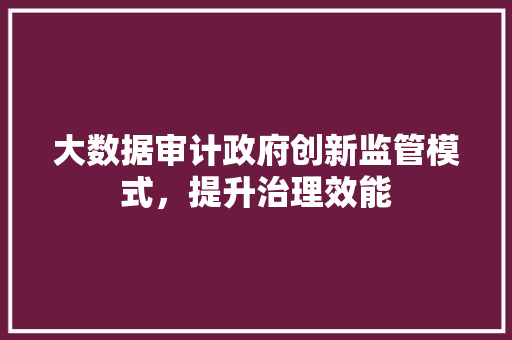大数据审计政府创新监管模式，提升治理效能