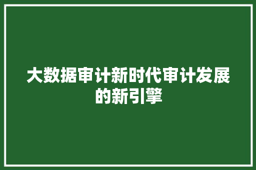 大数据审计新时代审计发展的新引擎 友链在线