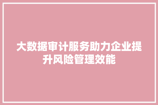 大数据审计服务助力企业提升风险管理效能