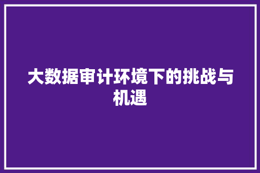 大数据审计环境下的挑战与机遇 Web前端