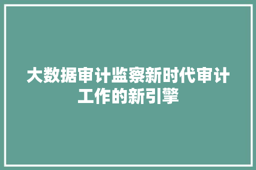 大数据审计监察新时代审计工作的新引擎