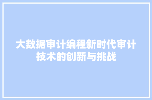 大数据审计编程新时代审计技术的创新与挑战
