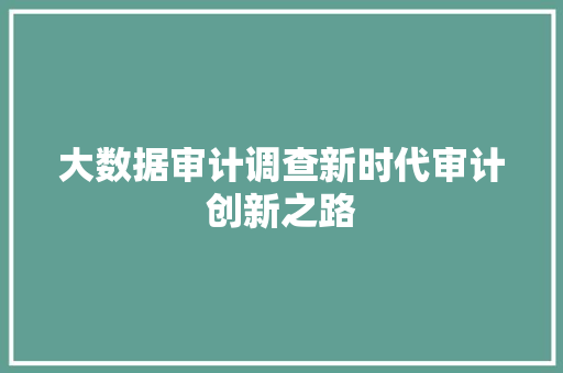 大数据审计调查新时代审计创新之路