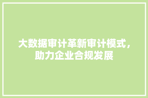 大数据审计革新审计模式，助力企业合规发展 建站教程