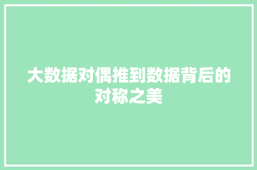 大数据对偶推到数据背后的对称之美