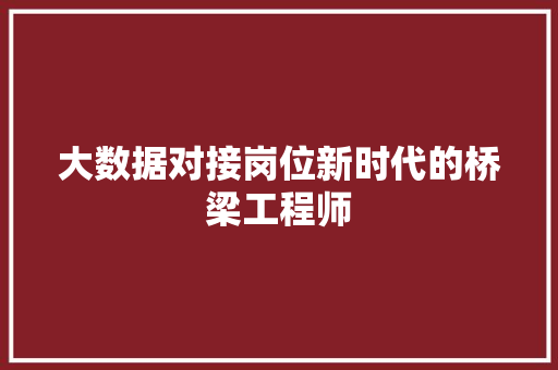 大数据对接岗位新时代的桥梁工程师