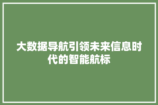 大数据导航引领未来信息时代的智能航标 友链在线