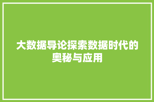 大数据导论探索数据时代的奥秘与应用