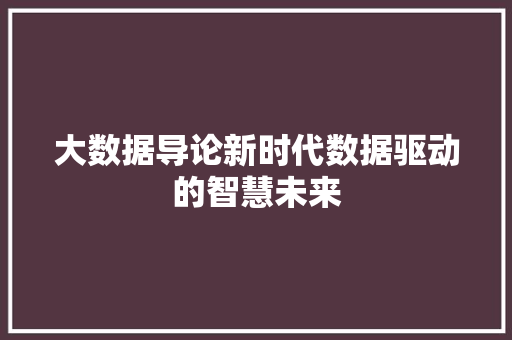 大数据导论新时代数据驱动的智慧未来