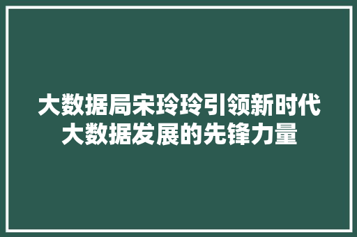大数据局宋玲玲引领新时代大数据发展的先锋力量