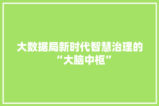 大数据局新时代智慧治理的“大脑中枢”