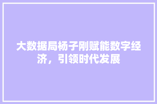 大数据局杨子刚赋能数字经济，引领时代发展