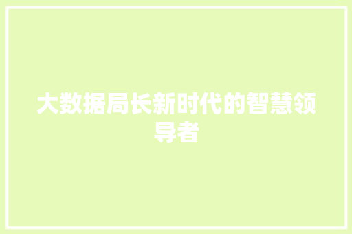 大数据局长新时代的智慧领导者