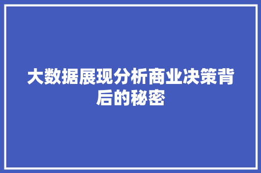大数据展现分析商业决策背后的秘密