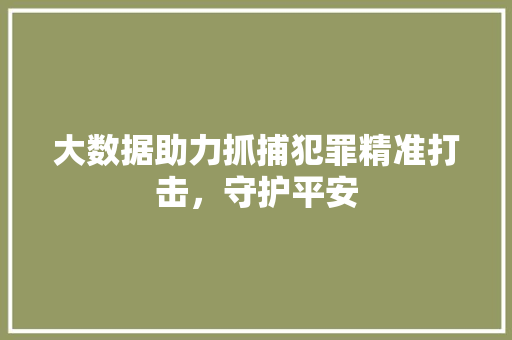 大数据助力抓捕犯罪精准打击，守护平安