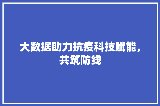 大数据助力抗疫科技赋能，共筑防线