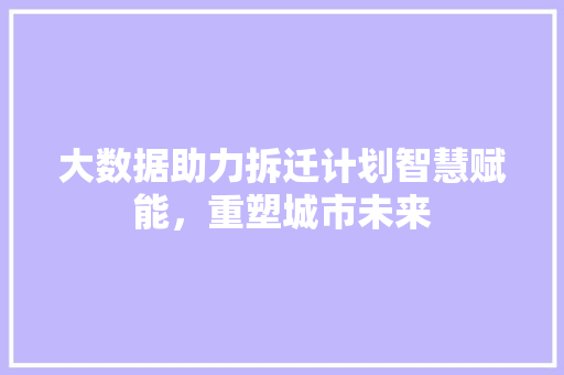 大数据助力拆迁计划智慧赋能，重塑城市未来