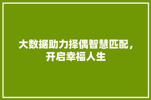 大数据助力择偶智慧匹配，开启幸福人生 Web前端