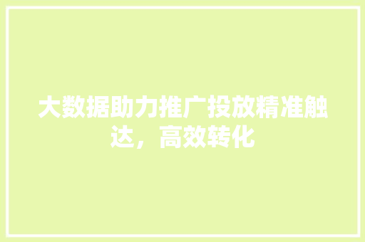 大数据助力推广投放精准触达，高效转化