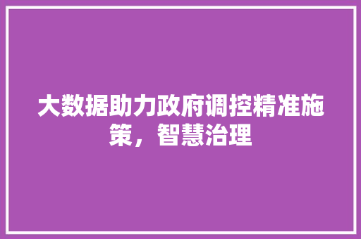 大数据助力政府调控精准施策，智慧治理