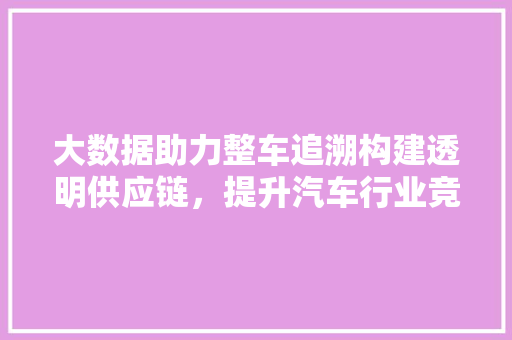 大数据助力整车追溯构建透明供应链，提升汽车行业竞争力