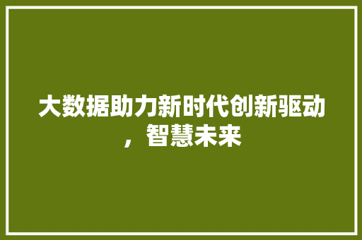 大数据助力新时代创新驱动，智慧未来 建站教程