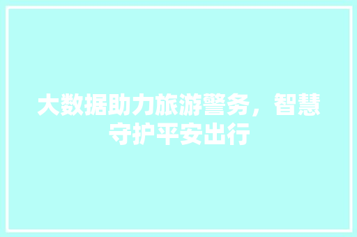 大数据助力旅游警务，智慧守护平安出行