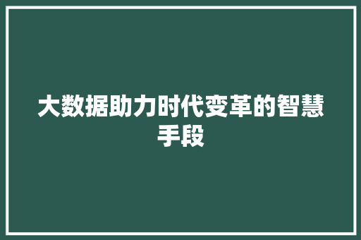 大数据助力时代变革的智慧手段